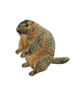 فیگور ناب سل مدل سنجاب MARMOT ارتفاع 4 سانتی‌متر