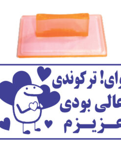مهر مدل تشویقی دانش آموز طرح وای ترکوندی عالی بودی عزیزم کد T10