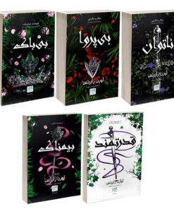 کتاب ناتوان، قدرتمند، بی پروا، بی باک و بیمناک اثر لورن رابرتس نشر آذرگون 5 جلدی