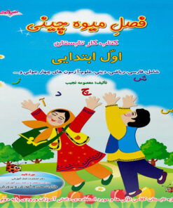 کتاب فصل میوه چینی کتاب کار تابستان اول ابتدایی اثر معصومه نجیب نشر صیانت