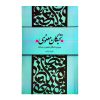 کتاب پرورش نخبگان معنوی در مساجد اثر علیرضا پناهیان انتشارات بیان معنوی