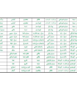 برچسب مدل نظم دهنده مواد فریزری بسته 4 عددی